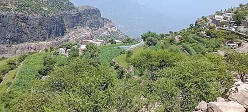 Al-Ghaydah village in Jahaf