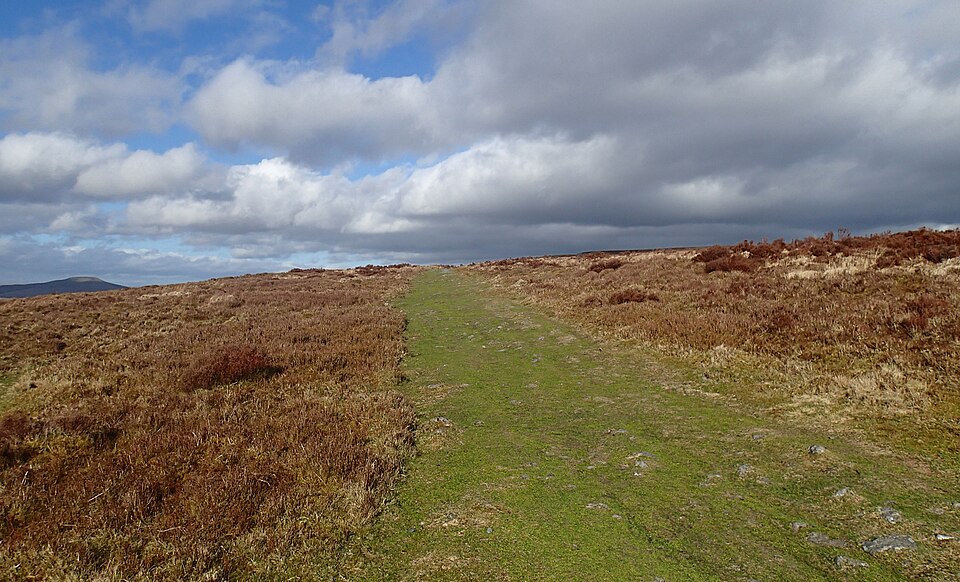 File:Blorenge Quarries Tramroad, Llanfoist Fawr.jpg