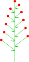 Alternate flowers