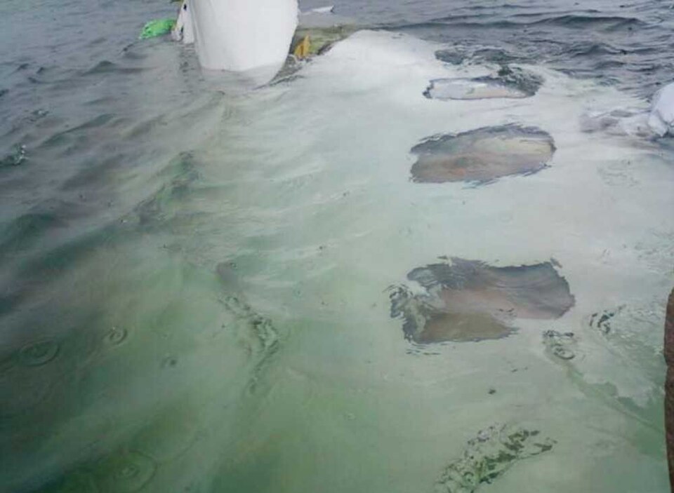 File:Merpati Nusantara Airlines PK-MZK wreckage.jpg