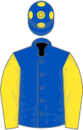 Royal blue, yellow sleeves, blue cap, yellow spots