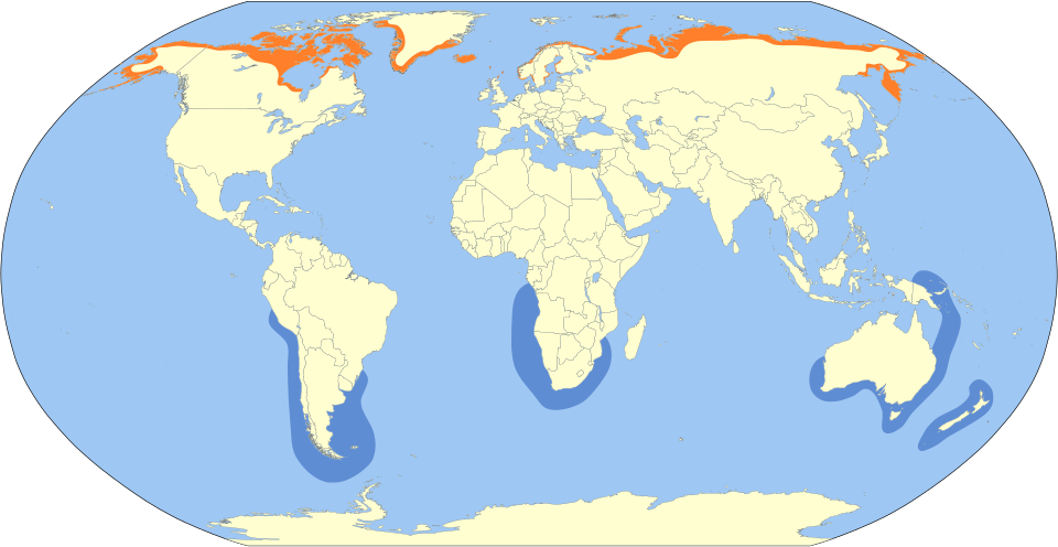 File:Stercorarius parasiticus map.svg