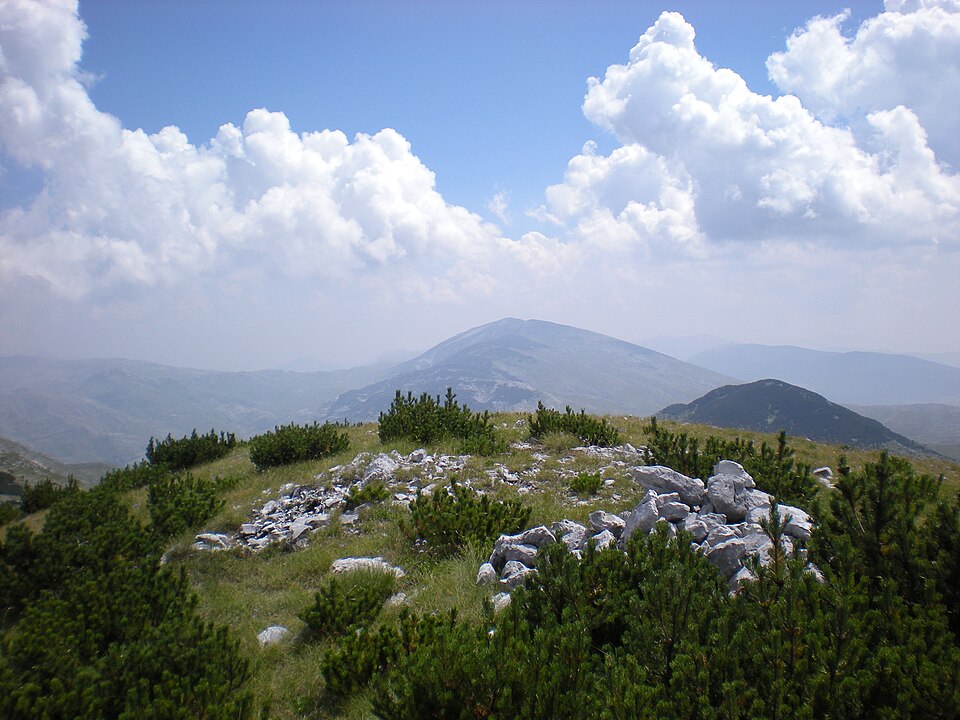 File:View from Hranisava summit.JPG
