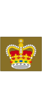 Warrant officer class 2