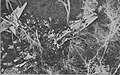 Thumbnail for version as of 21:34, 21 June 2015