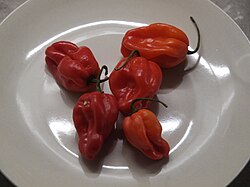 Red habaneros on a plate, bought from a food store