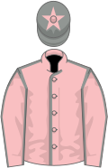 Pink, grey seams, grey cap, pink star