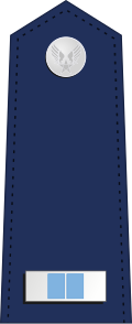 File:US-AirForce-WO2.svg