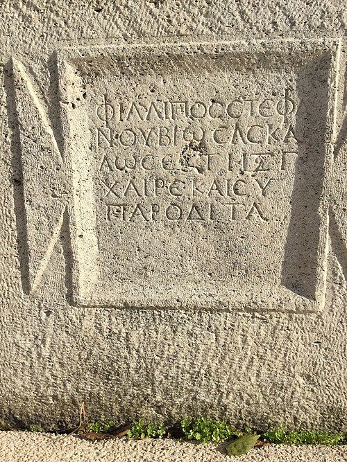 File:Callatis 362.jpg