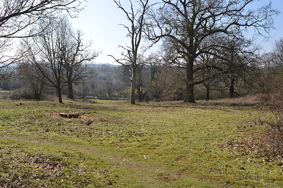 File:Danesbury Park 6.JPG