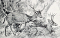 Thumbnail for version as of 01:26, 11 August 2019