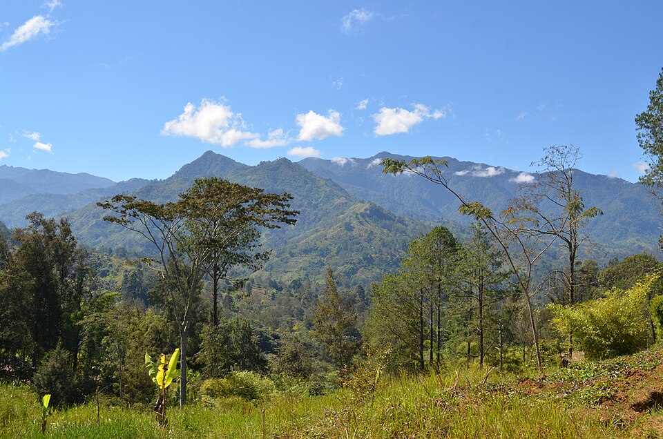 File:Papua New Guinea (5986599443).jpg