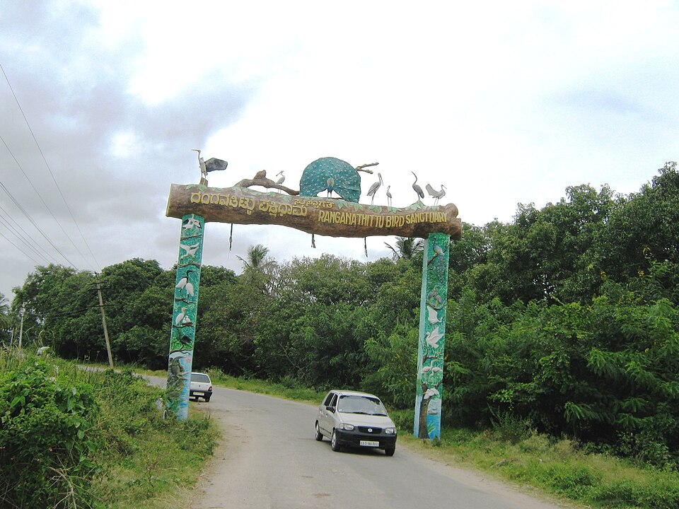 File:Ranganthittu Bird Sanctuary (6099939566).jpg