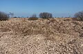 entre Belle Croix et Baraque Michel, raised bogs panorama