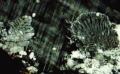 Thumbnail for version as of 00:39, 13 February 2010