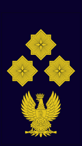 Italian State Police