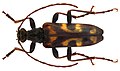 Thumbnail for version as of 23:55, 1 December 2012