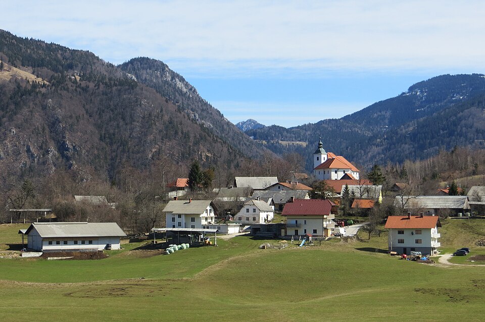 File:Gozd Kamnik Slovenia.jpg