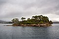 Island Of The Dead, Port Arthur