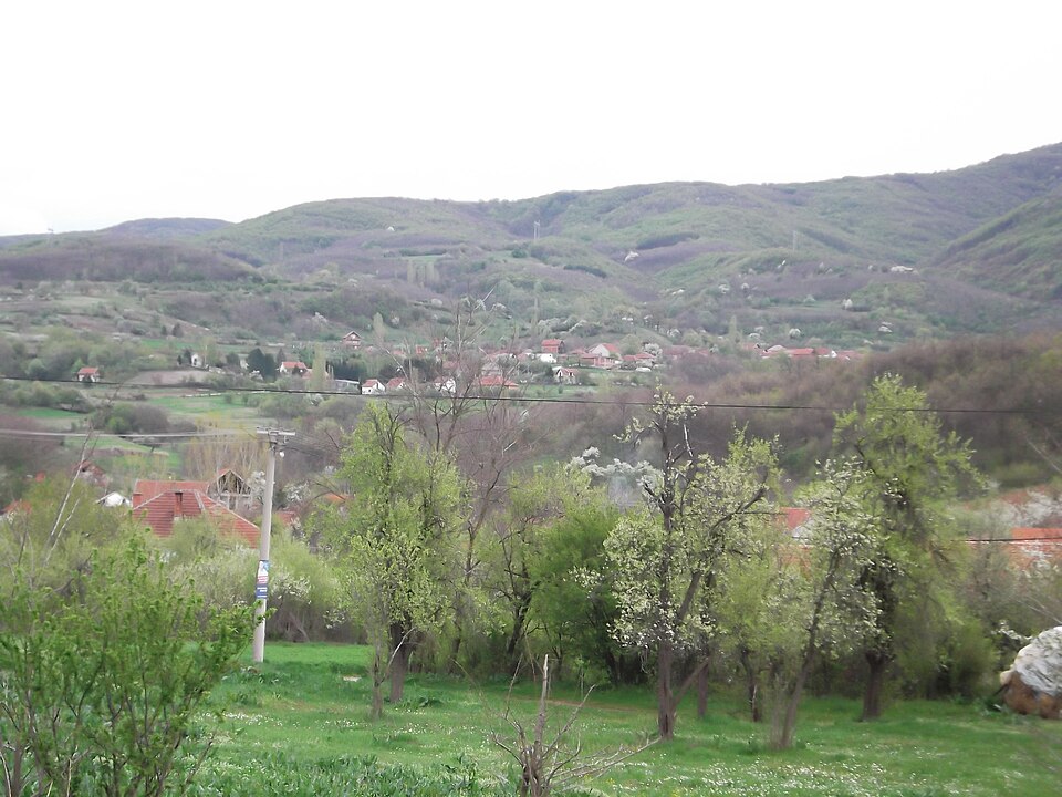 File:Perutina.jpg