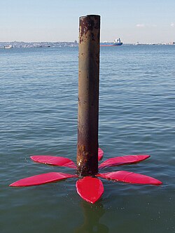 Tide Flowers at the Hudson River Park