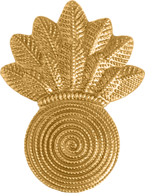 File:USMC CWO Gunner (Dress).png