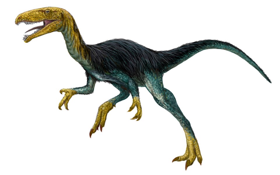 File:Velocisaurus.jpg