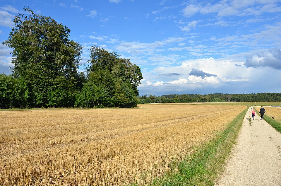 File:Wasserschutzgebiet Entenweiher, Albstadt im Zollernalbkreis.jpg