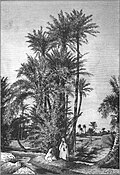 Thumbnail for version as of 23:56, 22 January 2020