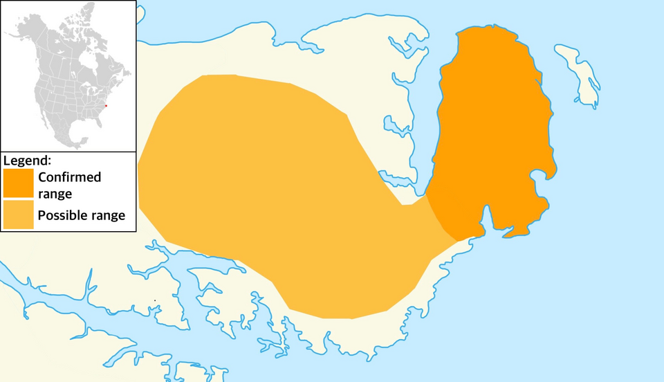 File:Canis rufus range IUCN.png