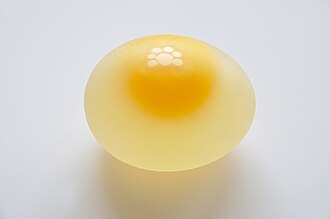 Shell-less chicken egg