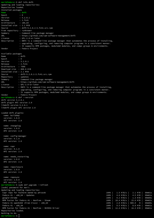 File:DNF 5 on Fedora 41.png