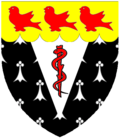 Thumbnail for version as of 20:42, 2 August 2019