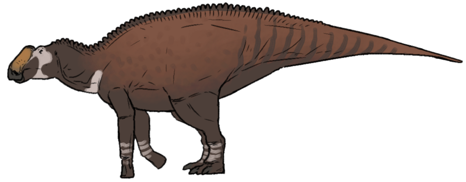 File:Kritosaurus navajovius.png