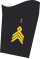 Navy sleeve insignias