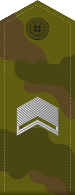 File:Rus starshina field.svg