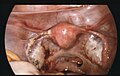 Thumbnail for version as of 17:41, 26 October 2013