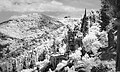 Overlooking the former monastery, winter 2025