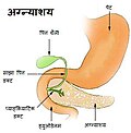Nepali.