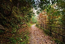 Pipeline Track in Ayubia National Park