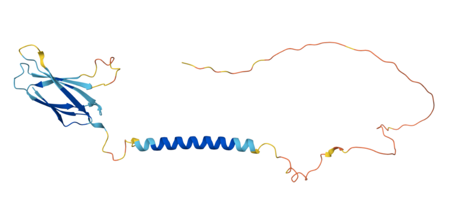 File:FNDC9 tertiary structure.png
