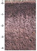 Thumbnail for version as of 22:50, 19 June 2011