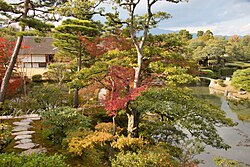 View of the garden