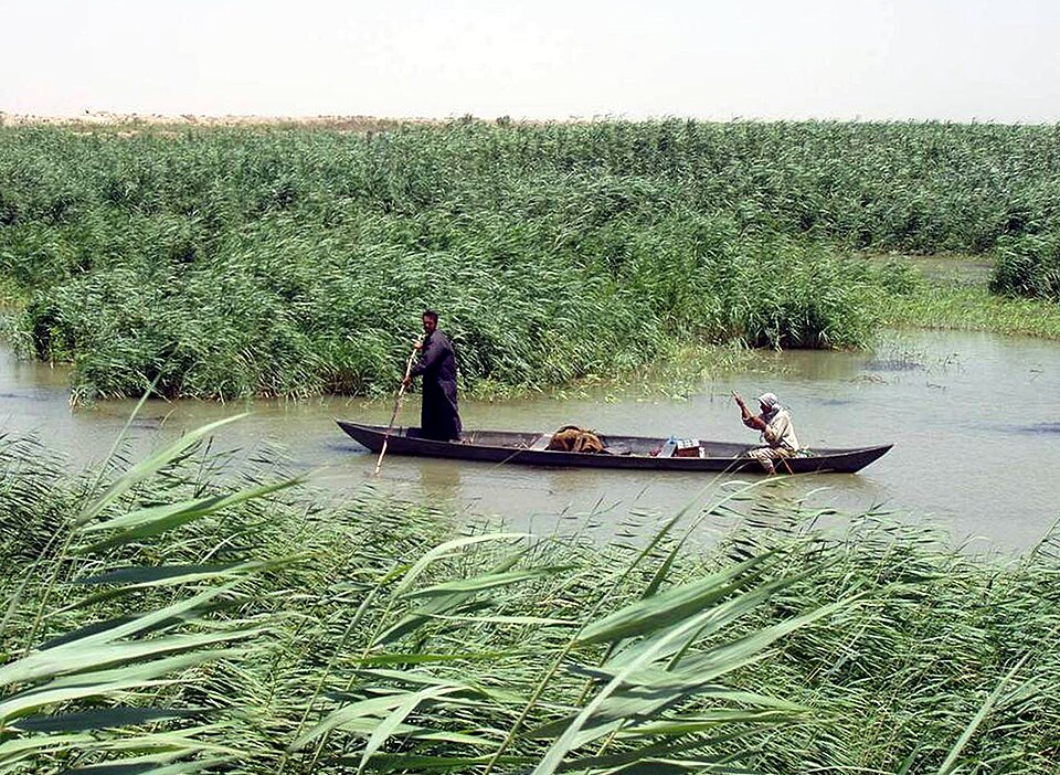 File:Marsh Arabs in a mashoof.jpg