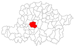 Location in Arad County
