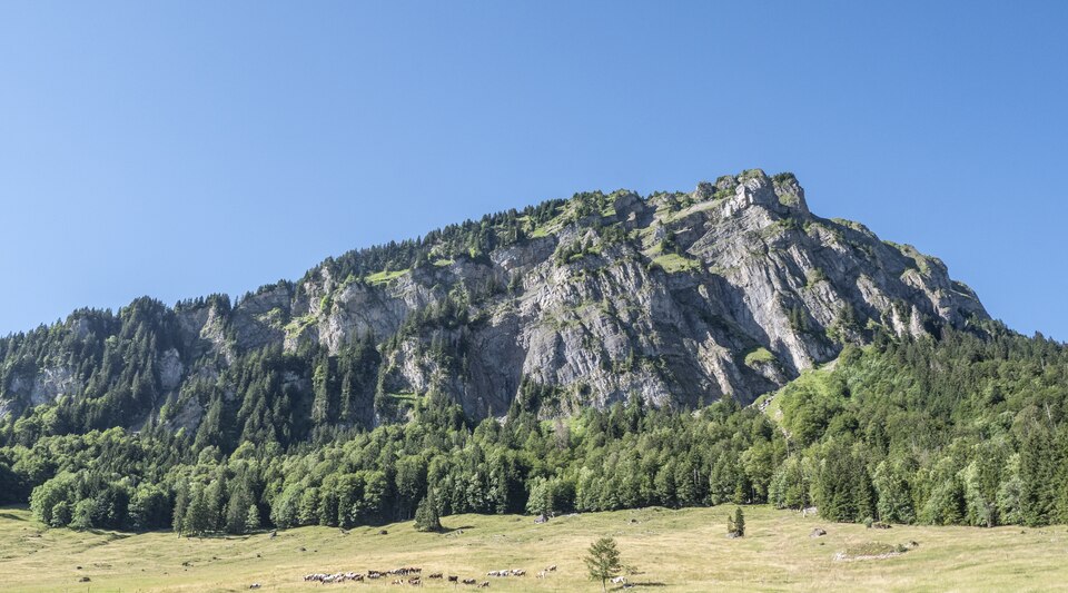 File:20230715 Schimbrig-1a.tif