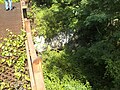reinforced concrete exhaust/blast pit that directed rocket blasts "out and away" from test gantry.  "very overgrown and has appx. 4-5 feet of stagnant standing water"