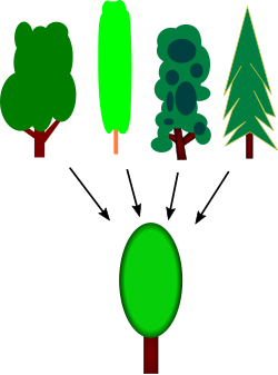 Diagram of several trees with arrows to one more tree