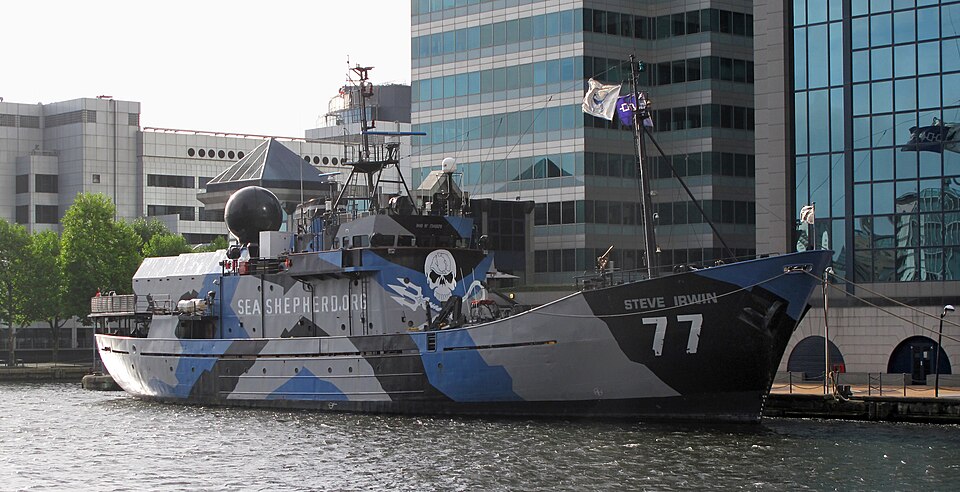 File:MY Steve Irwin-Sea Shepherd Conservation Society.jpg