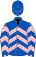 Royal blue, pink chevrons, royal blue cap